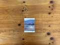 Ford Ranger Doble Cabina 2.0 EcoBlue S&S Limited 4x4 17 Blanco - thumbnail 15