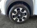 Fiat Grande Panda Grande Panda 1.2 hybrid Icon 110cv edct Bianco - thumbnail 11
