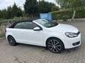 Volkswagen Golf Cabriolet Cabrio 1.6 TDI - thumbnail 6