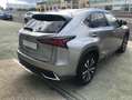 Lexus NX 300 300h Premium 2WD Gris - thumbnail 6