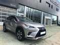 Lexus NX 300 300h Premium 2WD Gris - thumbnail 4