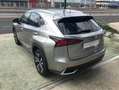 Lexus NX 300 300h Premium 2WD Gris - thumbnail 10