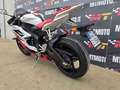 Yamaha YZF-R6 Video 360 km 14302 Bianco - thumbnail 4