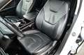 Ford Edge Titanium 4x4 LEDER NAVIGATION KAMERA PDC 19 Blanc - thumbnail 14