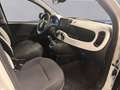 Fiat Panda Cross 1.0 FireFly Hybrid Blanc - thumbnail 14