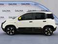 Fiat Panda Cross 1.0 FireFly Hybrid Blanc - thumbnail 2