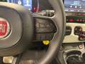 Fiat Panda Cross 1.0 FireFly Hybrid Blanc - thumbnail 17