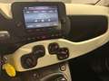 Fiat Panda Cross 1.0 FireFly Hybrid Blanc - thumbnail 19