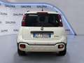 Fiat Panda Cross 1.0 FireFly Hybrid Blanc - thumbnail 4
