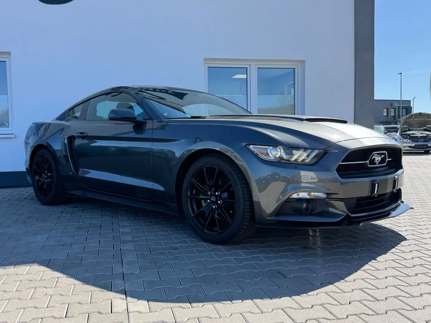 Ford Mustang 50 Jahre Edition Grau - 2