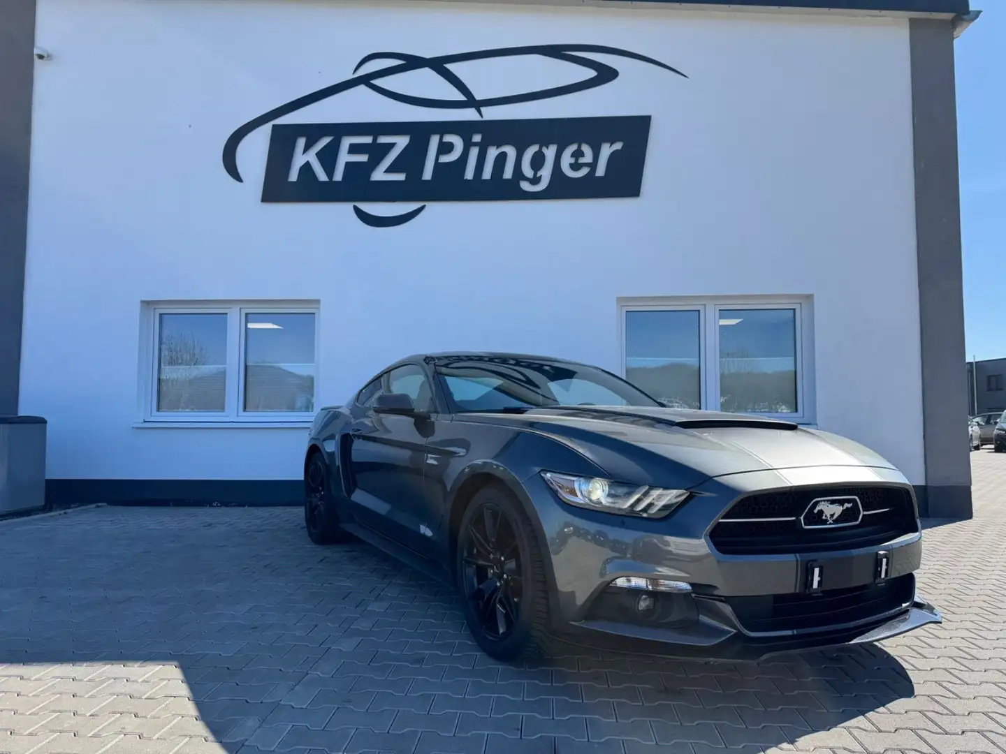 Ford Mustang 50 Jahre Edition Grau - 1