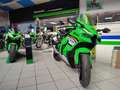 Kawasaki Groen - thumbnail 3