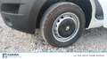 Renault Master T28 2.3 dci 130cv L1H1 E6 Bianco - thumbnail 13