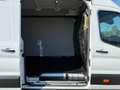 Ford Transit 350 2.0 Tdci EcoBlue 170 CV H3 L4 JUMBO Weiß - thumbnail 6