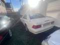Mercedes-Benz SL 350 SL 350 V6 Bianco - thumbnail 2