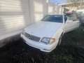 Mercedes-Benz SL 350 SL 350 V6 Bianco - thumbnail 5