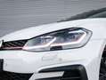 Volkswagen Golf GTI 2.0 TSI Performance Pano DCC Camera Keyles Bianco - thumbnail 4