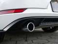 Volkswagen Golf GTI 2.0 TSI Performance Pano DCC Camera Keyles Bianco - thumbnail 11