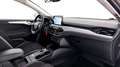 Ford Focus Focus 1.5 ecoblue Business Co-pilot s&s 120cv auto Grijs - thumbnail 13