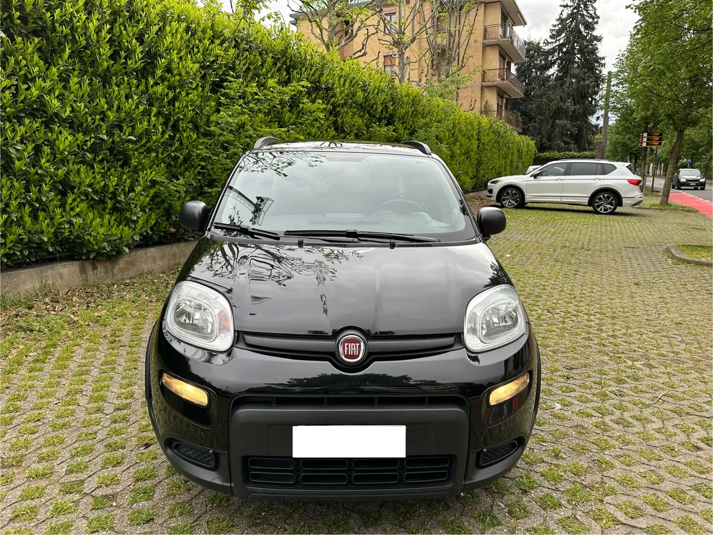 Fiat Panda 1.0 firefly hybrid City Life s Nero - 2