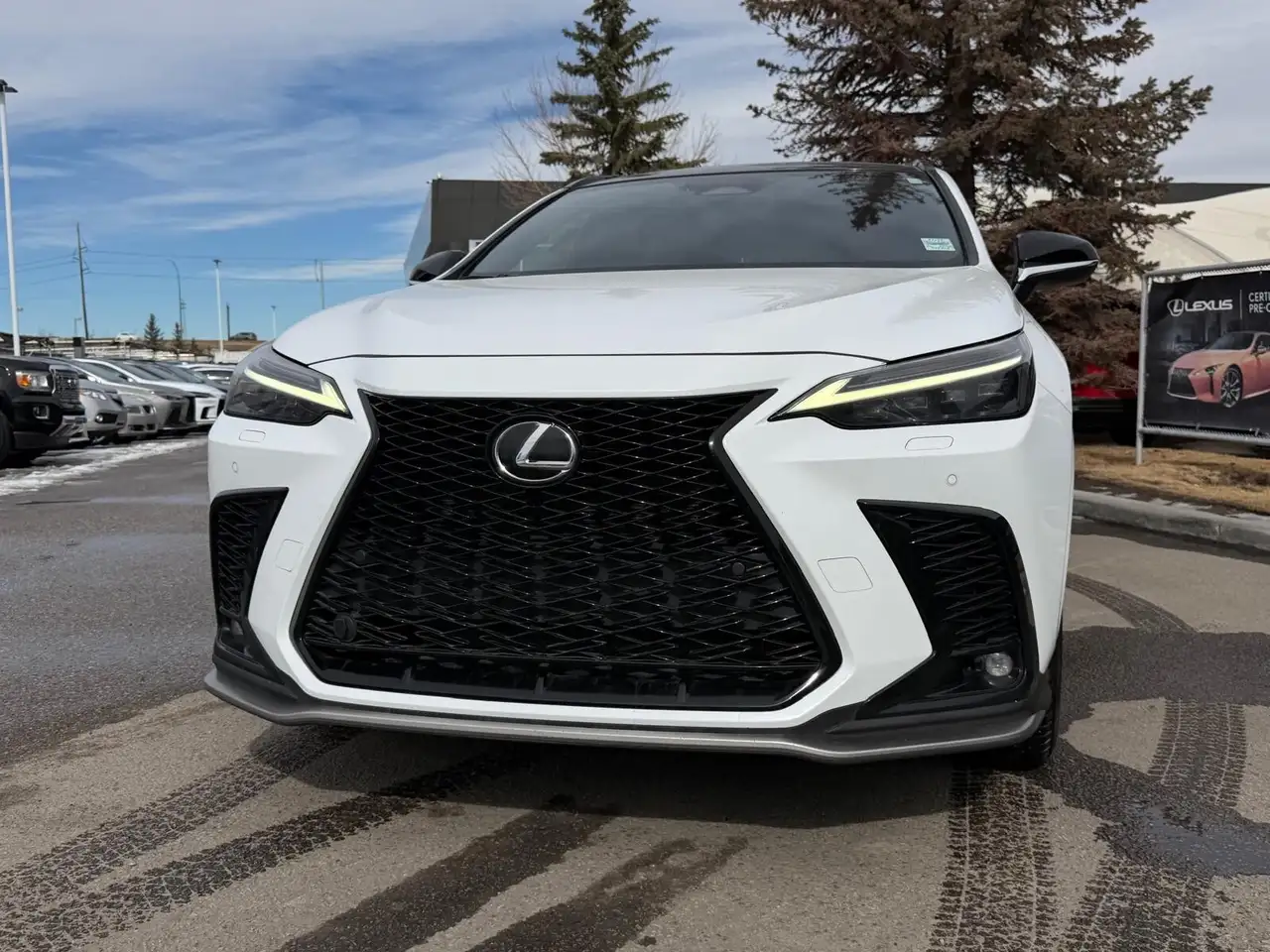Lexus NX снимка Lexus NX