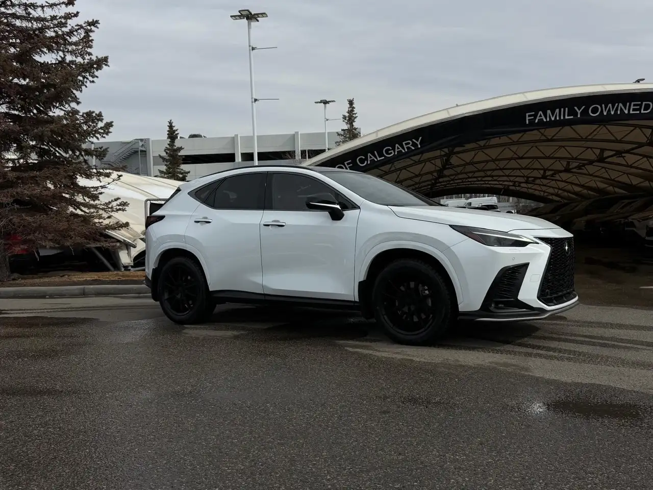 Lexus NX снимка Lexus NX