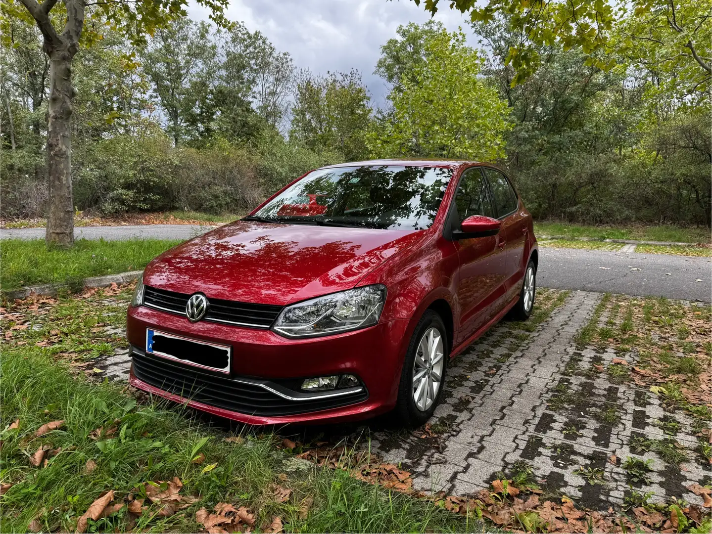 Volkswagen Polo 1,4 TDI - 1