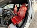 Audi S4 S4 Avant TDI quattro Aut. *MATRIX*S-LINE*1.BESITZ* Weiß - thumbnail 26