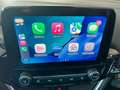 Ford Fiesta 1.1 75cv 5p Titanium Grigio - thumbnail 14