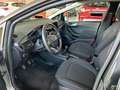 Ford Fiesta 1.1 75cv 5p Titanium Grigio - thumbnail 7