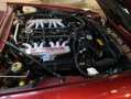 Jaguar XJS XJRS Rouge - thumbnail 4