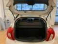 Opel Karl 1.0 75cv NEOPATENTATI Bianco - thumbnail 7