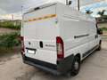 Fiat Ducato Bianco - thumbnail 2