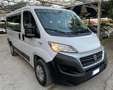 Fiat Ducato Bianco - thumbnail 11
