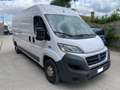 Fiat Ducato Bianco - thumbnail 1