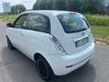 Lancia Ypsilon Ypsilon 1.3 MJT 75 CV Bianco - thumbnail 8