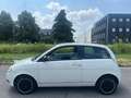 Lancia Ypsilon Ypsilon 1.3 MJT 75 CV Bianco - thumbnail 4