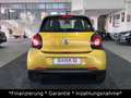 smart forFour 52 kW|1.Hand|Faltdach|Klimaa.| Schwarz - thumbnail 7