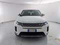 Land Rover Range Rover Evoque 2.0D I4-L.Flw 150 CV AWD Auto SE Weiß - thumbnail 2