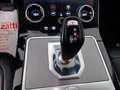 Land Rover Range Rover Evoque 2.0D I4-L.Flw 150 CV AWD Auto SE Weiß - thumbnail 14