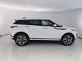 Land Rover Range Rover Evoque 2.0D I4-L.Flw 150 CV AWD Auto SE Weiß - thumbnail 21