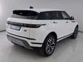 Land Rover Range Rover Evoque 2.0D I4-L.Flw 150 CV AWD Auto SE Weiß - thumbnail 20