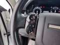 Land Rover Range Rover Evoque 2.0D I4-L.Flw 150 CV AWD Auto SE Weiß - thumbnail 11