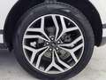 Land Rover Range Rover Evoque 2.0D I4-L.Flw 150 CV AWD Auto SE Weiß - thumbnail 7