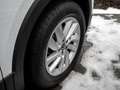 Volkswagen T-Cross 1.0 TSI AHK Klima PDC Alu Bluetooth Weiß - thumbnail 5