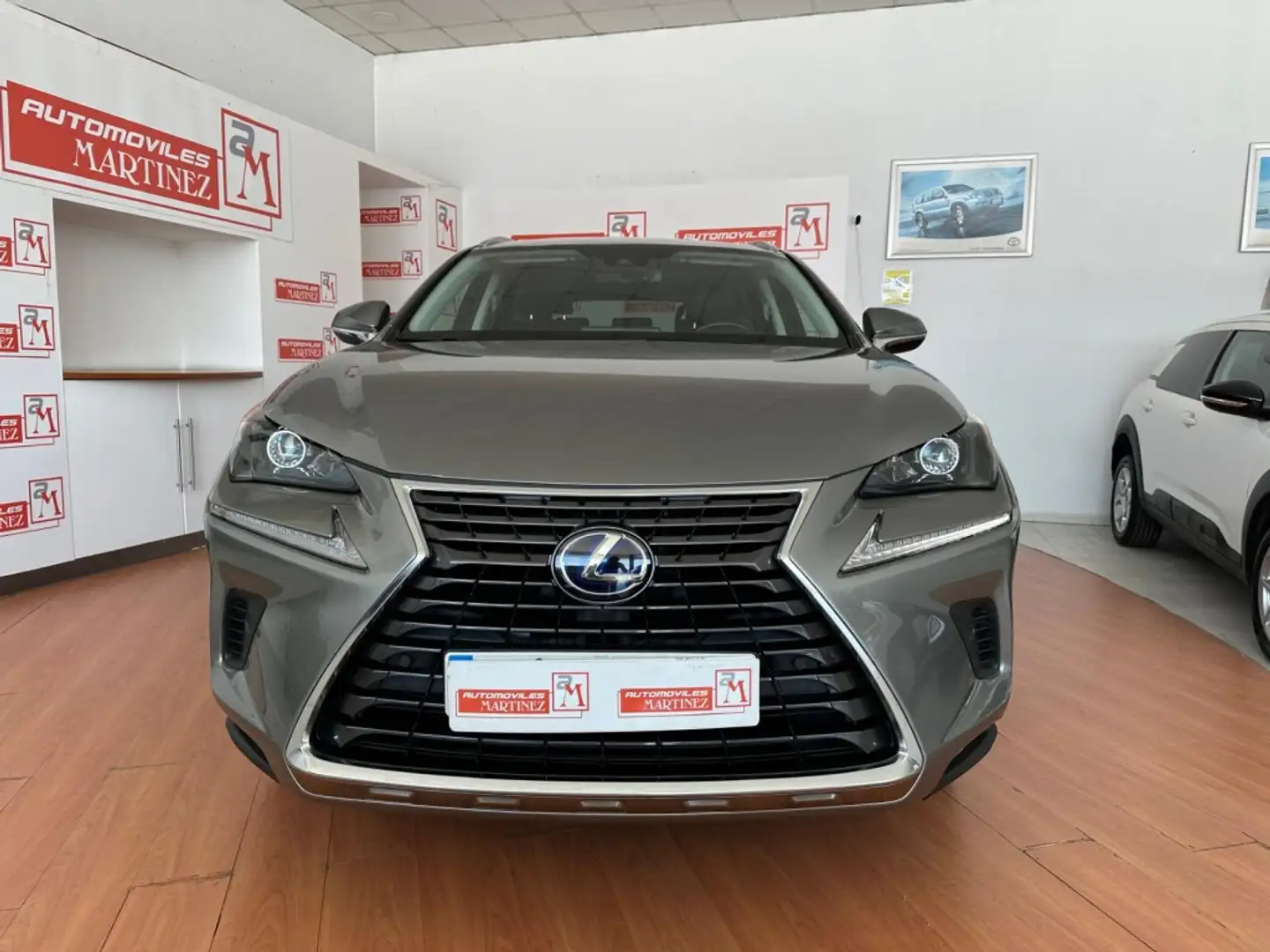 Lexus NX 300 300h Executive Navigation 4WD Gris - 2