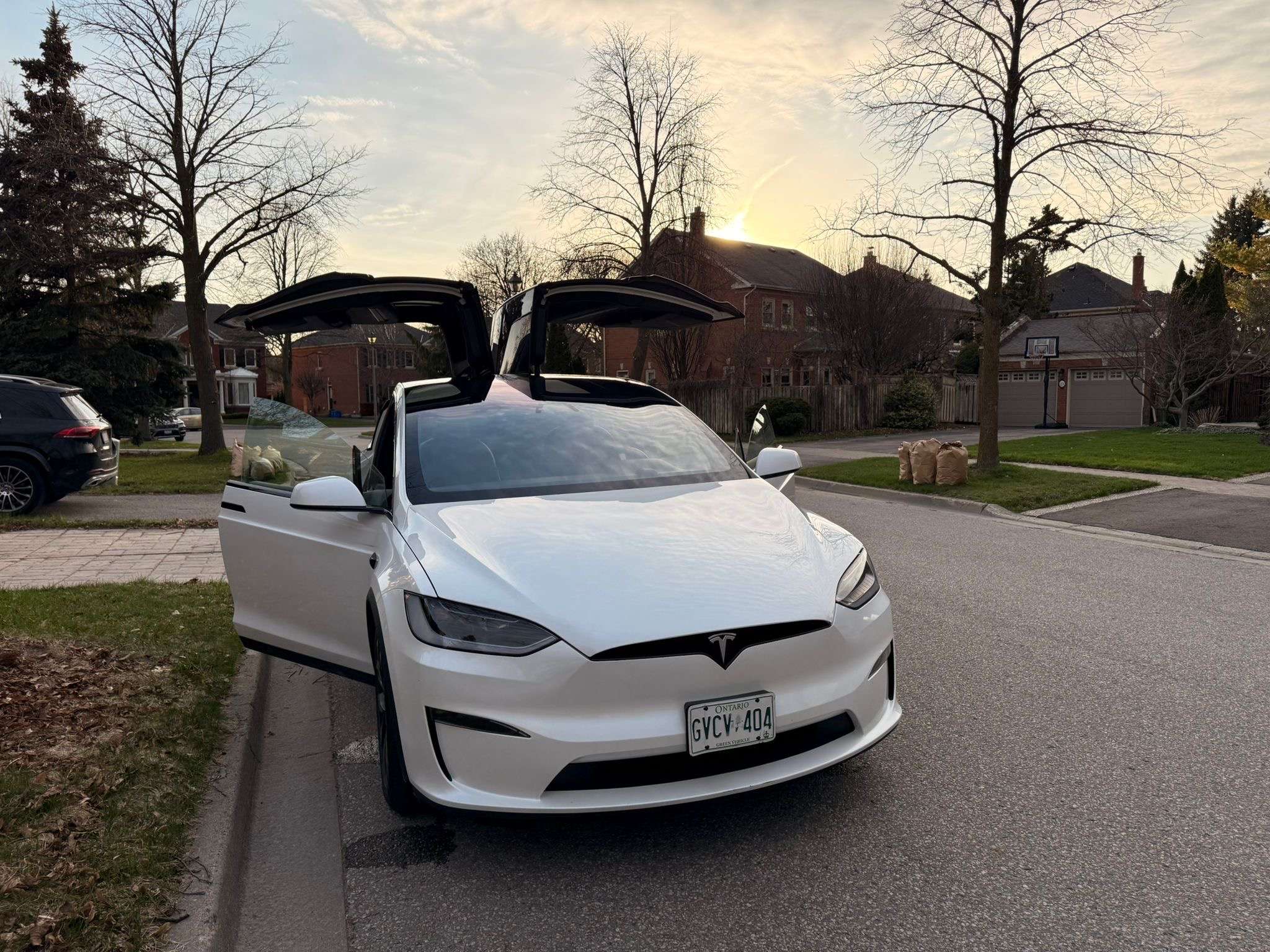 2024 Tesla Model X Long Range, Fully Loaded, Falcon Doors alt 2