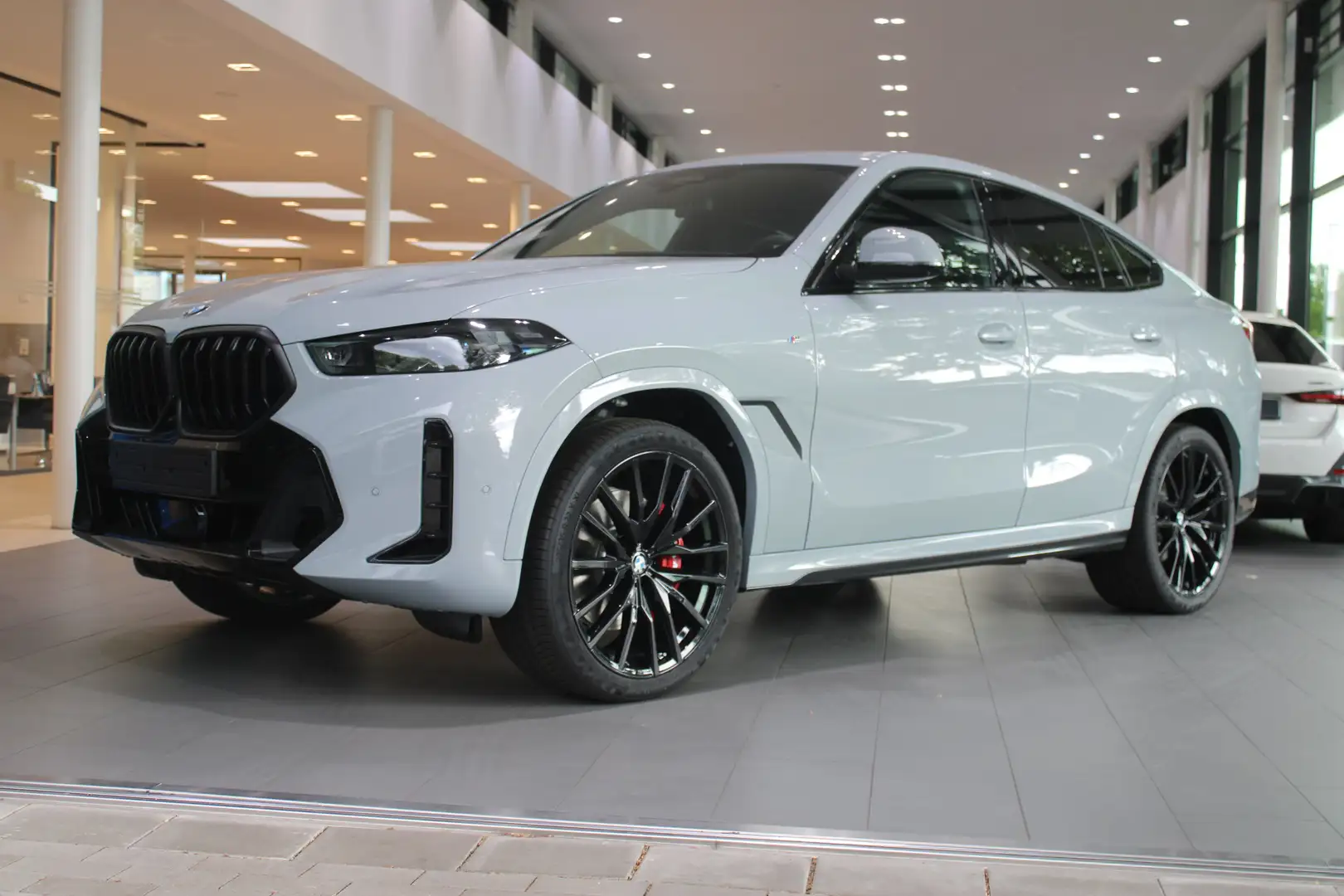 BMW X6 xDrive40d Sportpaket Gestiksteuerung HK HiFi Silber - 2
