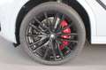 BMW X6 xDrive40d Sportpaket Gestiksteuerung HK HiFi Argent - thumbnail 16