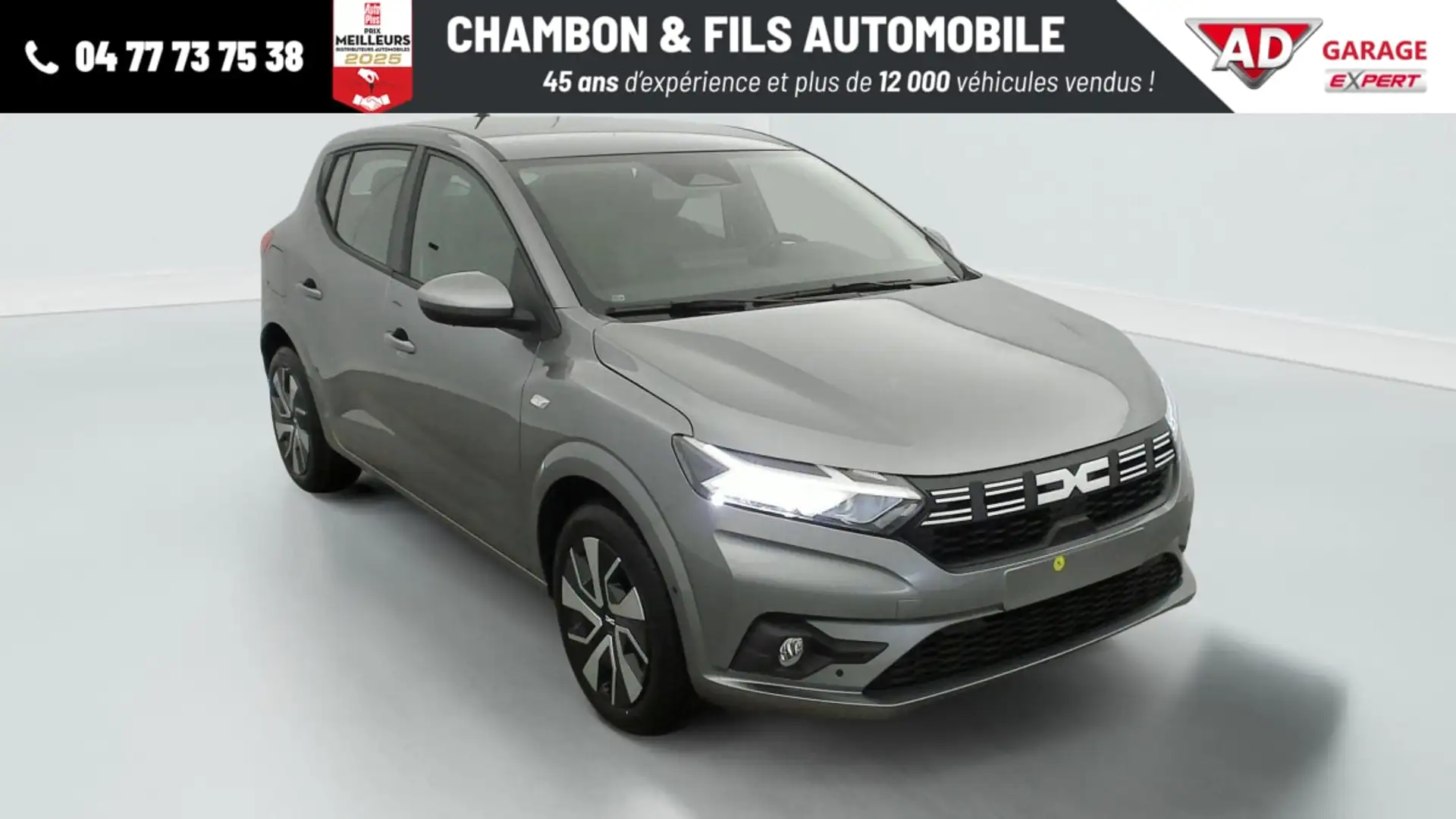 Dacia Sandero ECO-G 100 GSR2 Expression Серый - 1